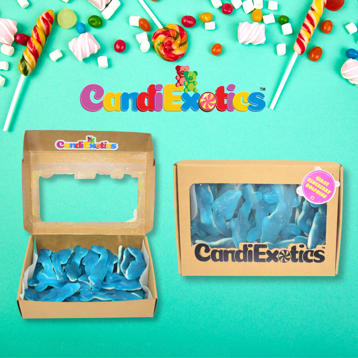 CandiExotics Blue Raspberry Dolphin Shaped Gummy Candies Fruit Flavored Jelly Candy Kraft Gift Box (500gm)