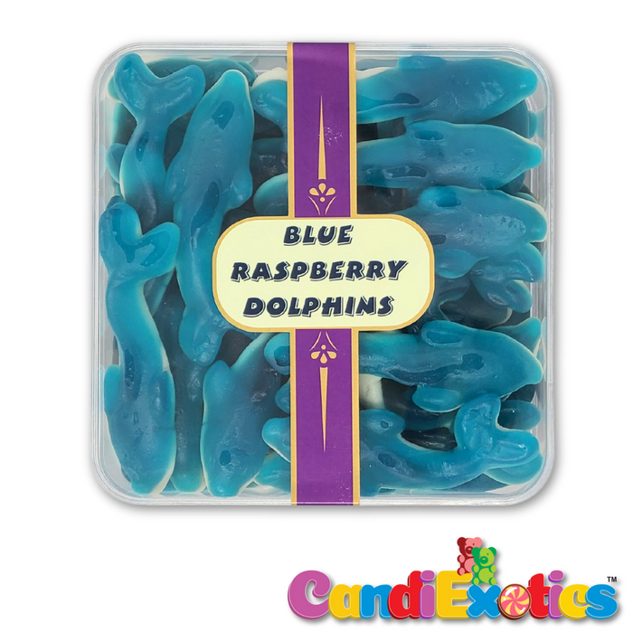 CandiExotics Blue Raspberry Dolphin Shaped Gummy Candies Fruit Flavored Jelly Candy Perfect for Kids and Adults alike (500gm)