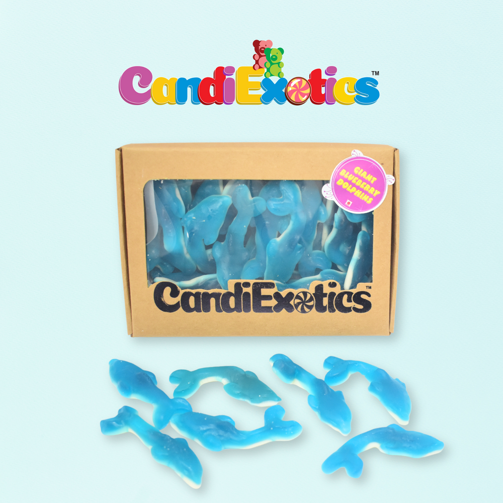 CandiExotics Blue Raspberry Dolphin Shaped Gummy Candies Fruit Flavored Jelly Candy Kraft Gift Box (500gm)